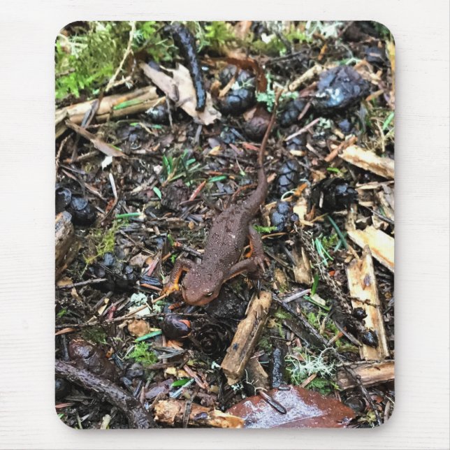 Mousepad Salamander in the Forest, Washington (Frente)