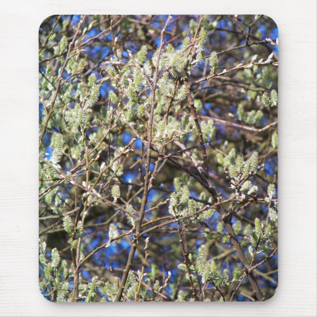 MOUSEPAD SALGUEIRO DE PRIMAVERA (Frente)