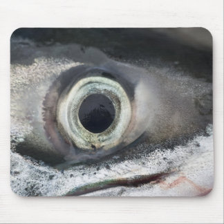 Mousepad Salmão Eye