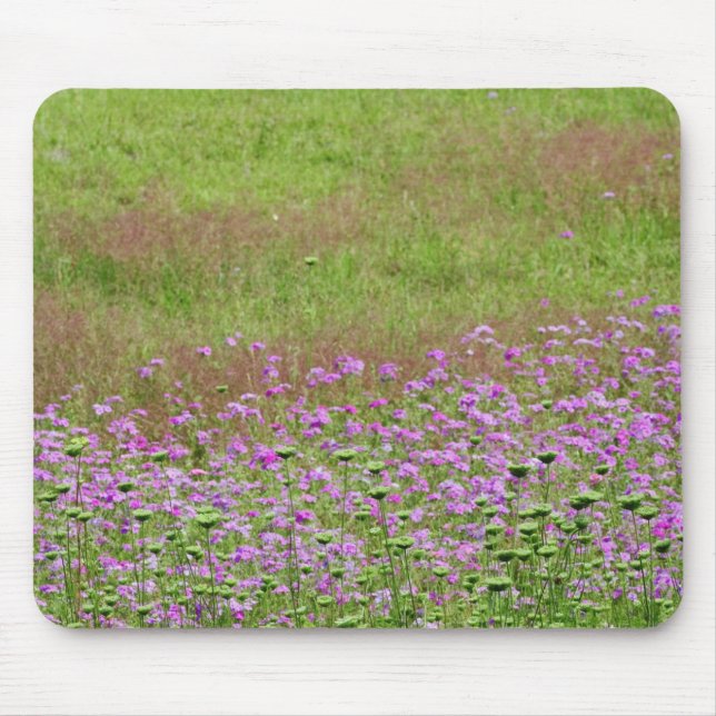 Mousepad Salsa de Rainha Ana (Daucus carota) crescendo (Frente)