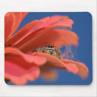Mousepad Saltador Adorável espiando