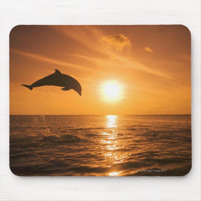 Mousepad Salto de golfinho de gargalo (Frente)