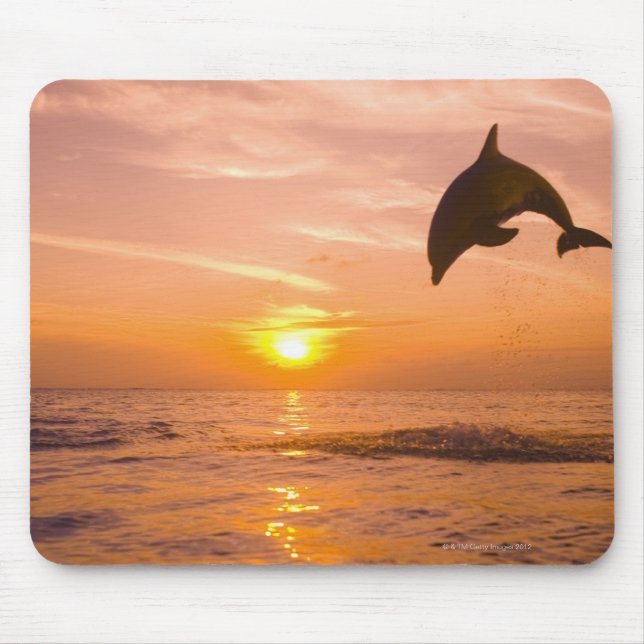 Mousepad Salto de golfinho de gargalo 2 (Frente)