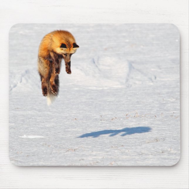 Mousepad Salto de Raposa | Yukon, Canadá (Frente)