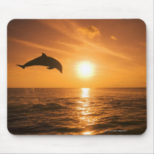 Mousepad Salto do golfinho de Bottlenose