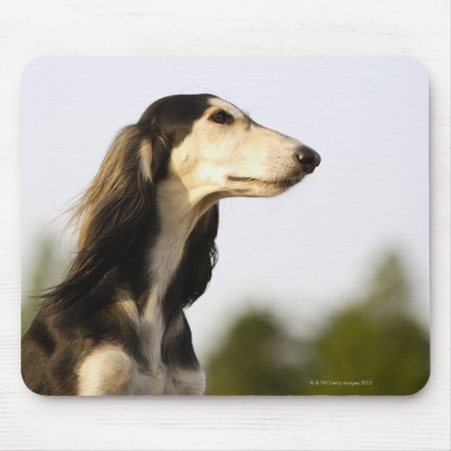 Mousepad Saluki (Frente)