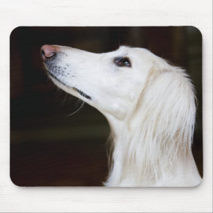 Mousepad Saluki que olha acima