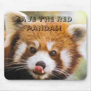 Mousepad Salvar as pandas vermelhas!