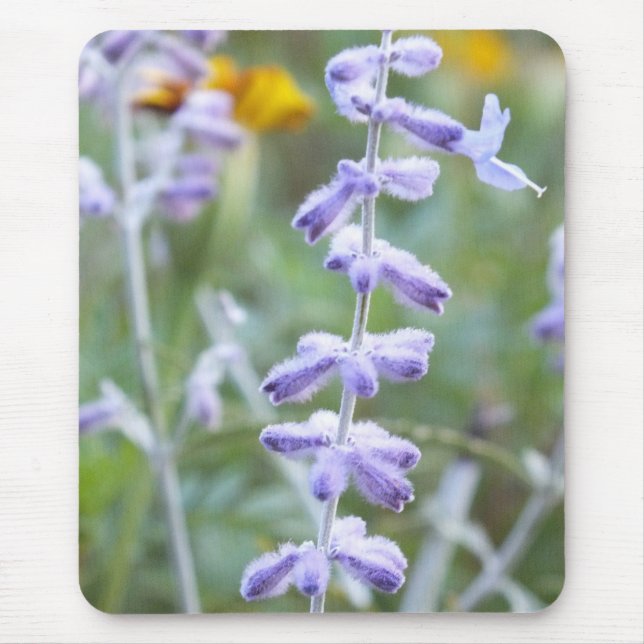Mousepad Salvia Russa Roxa -Pervoskia (Frente)