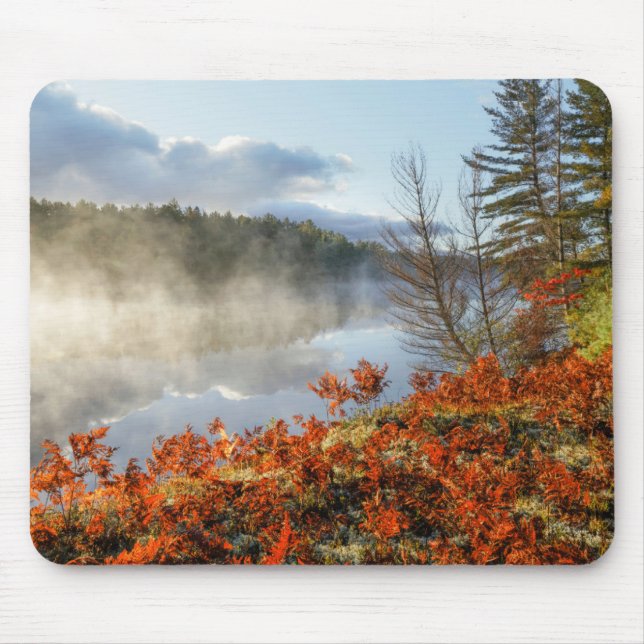 Mousepad Samambaia na Costa | Paradise, Michigan (Frente)