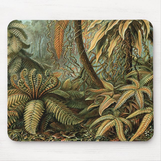 Mousepad Samambaia Palmeira Antiga Arte Botânica Samambaia (Frente)