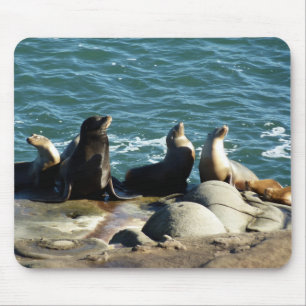 Mousepad San Diego Sea Lions