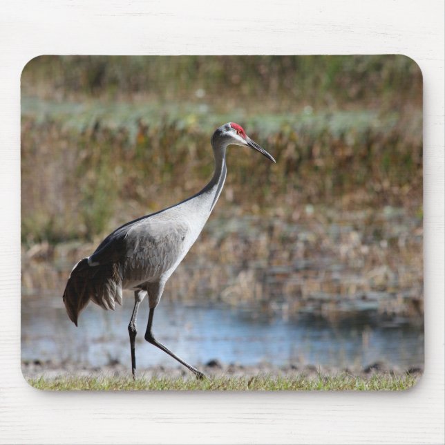 Mousepad Sandhill Crane (Frente)