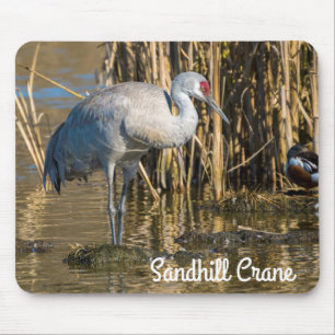 Mousepad Sandhill Crane