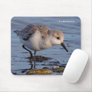 Mousepad Sandpiper de Saneamento Fofo rolando uma praia de