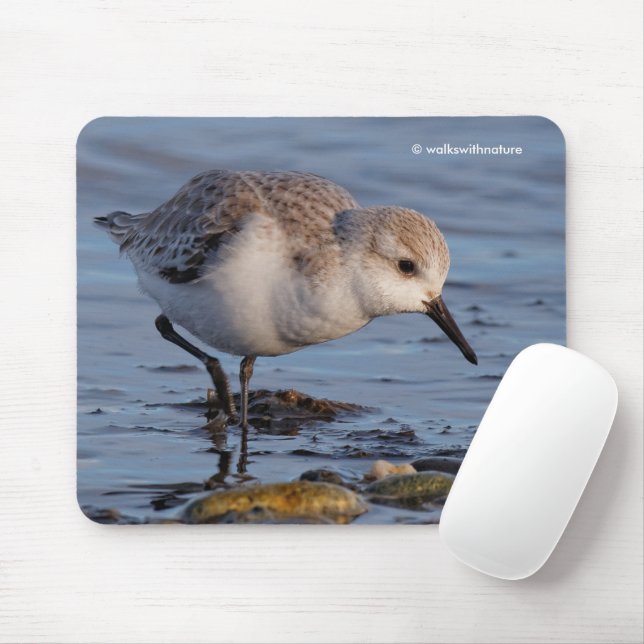 Mousepad Sandpiper de Saneamento Fofo rolando uma praia de  (Com mouse)