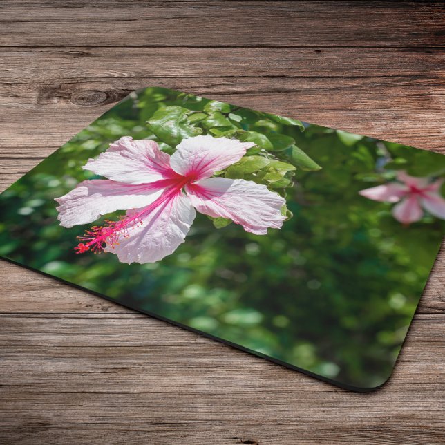 Mousepad Sangue Tropical de Flor de Miami Pink Hibiscus (Criador carregado)