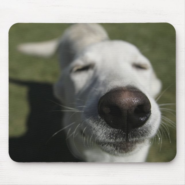 Mousepad Santa Fé, Novo México (Frente)