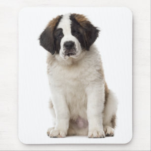Mousepad Santo Bernard Puppy Dog Rua De Amor. Bernard