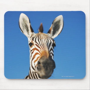 Mousepad Santuário de animais selvagens de Harnas, Namíbi