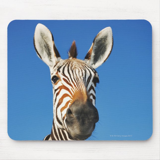 Mousepad Santuário de Harnas Wildlife, Namíbia, Sul (Frente)