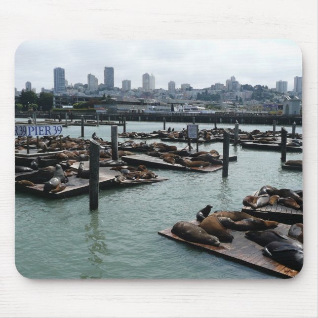 Mousepad São Francisco e Pier 39 Sea Lions City Skyline (Frente)