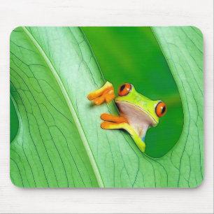 Mousepad sapo