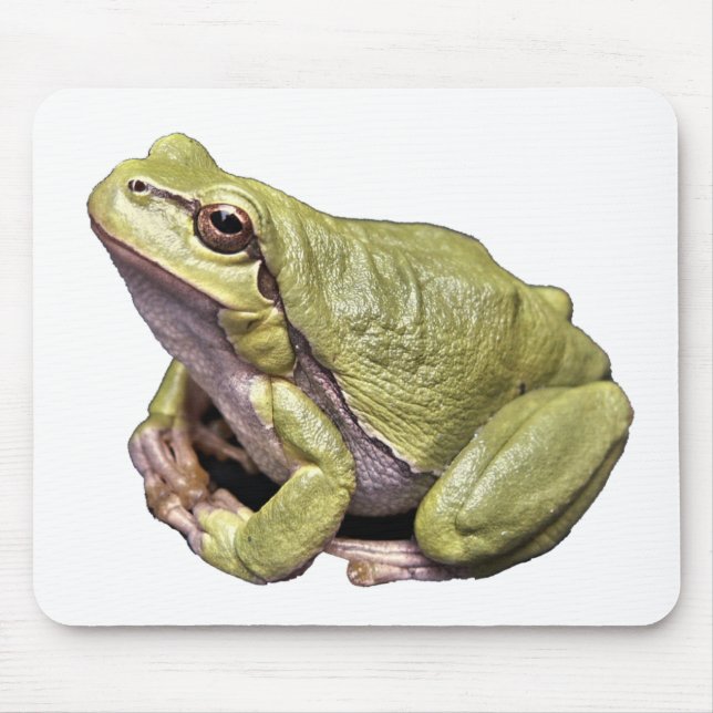 Mousepad Sapo (Frente)