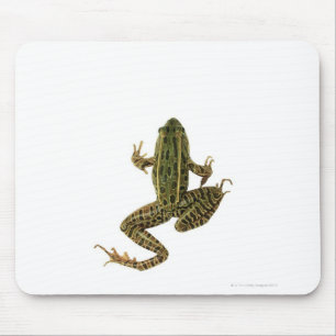 Mousepad Sapo 2