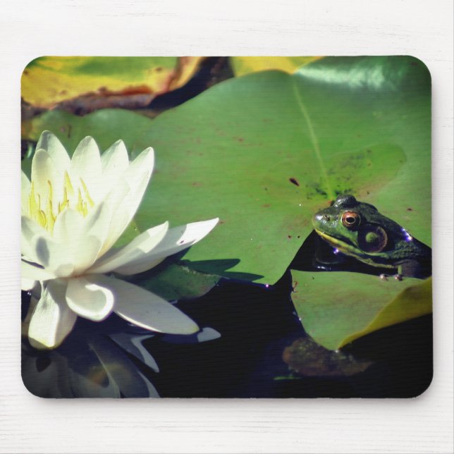 Mousepad Sapo Aditamento Lotus Water Lily Flower (Frente)