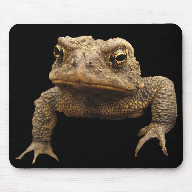 Mousepad Sapo Americano (Frente)