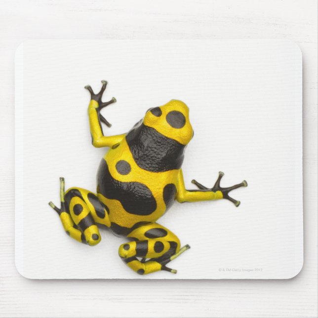 Mousepad Sapo Bumblebee Poison Dart (Frente)