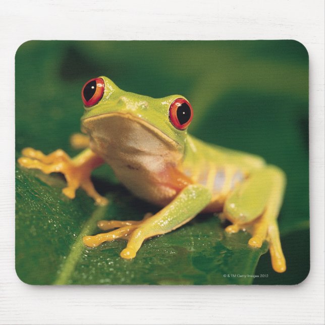 Mousepad Sapo da árvore de olhos vermelhos (Frente)