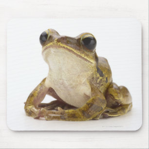 Mousepad Sapo de árvore Dourado