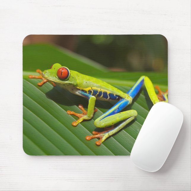 Mousepad Sapo de Árvore Selvagem Colorida Verde (Com mouse)