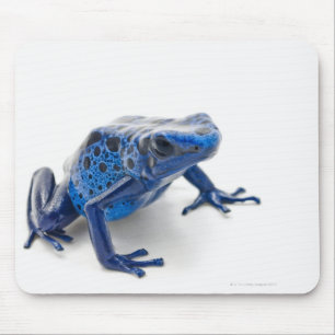 Mousepad Sapo de Dart Venenoso Azul (Dendrobates Tinctorius