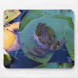 Mousepad Sapo de obrigações