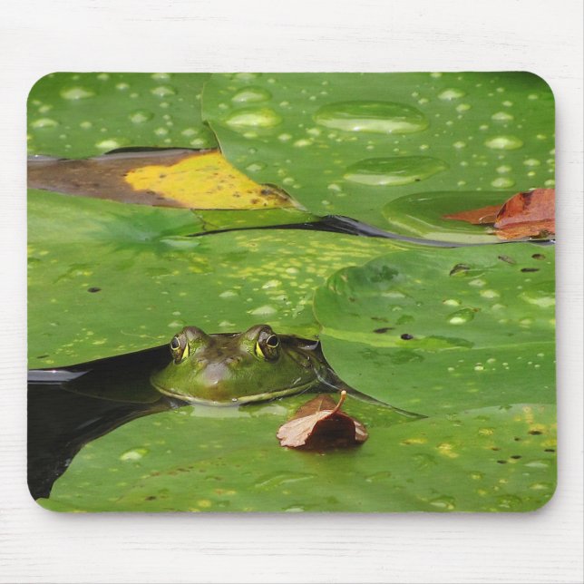 Mousepad Sapo e Lily Pads (Frente)