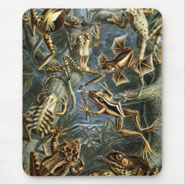 Mousepad Sapo e sapo Ernst Haeckel vintage