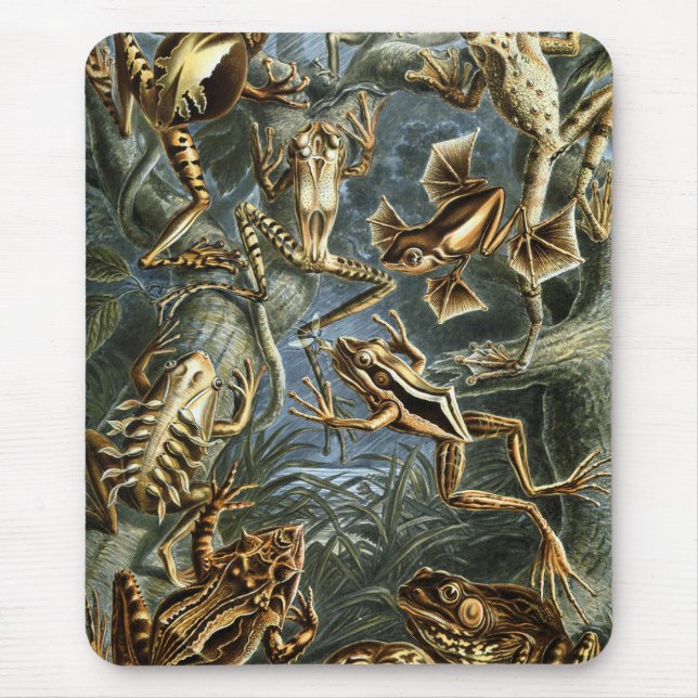 Mousepad Sapo e sapo Ernst Haeckel vintage (Frente)