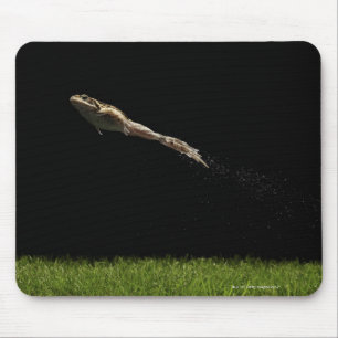 Mousepad sapo que pula fora da grama verde fresca