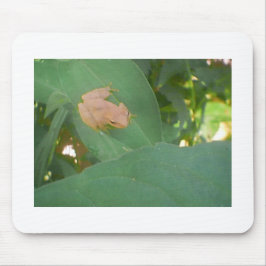 Mousepad Sapo Sentado na Folha Verde