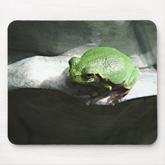 Mousepad Sapo verde (Frente)
