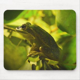 Mousepad Sapo verde e Ouro
