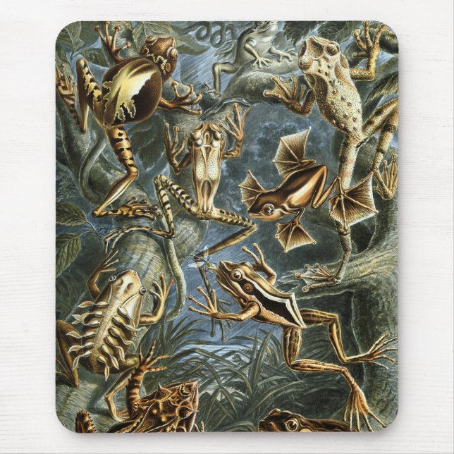 Mousepad Sapos Haeckel (Frente)