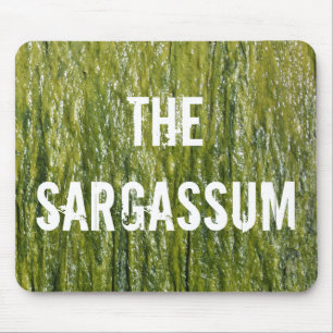 MOUSEPAD SARGASSUM!