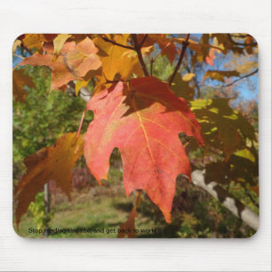 Mousepad Sassy da natureza