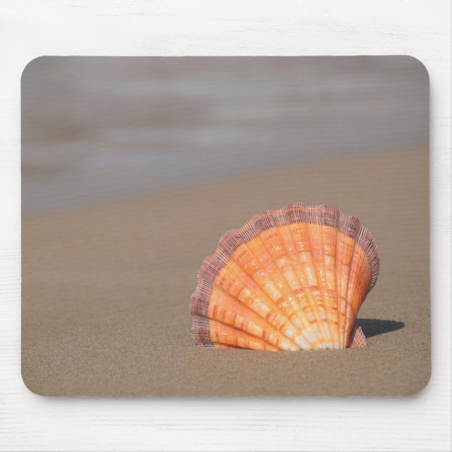 Mousepad Scallop Shell| Crete, piscina (Frente)