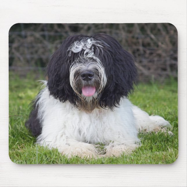 Mousepad schapendoes (Frente)