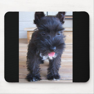 Mousepad Schnauzer diminuto